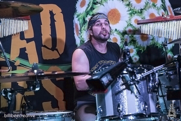 Dead Daisies