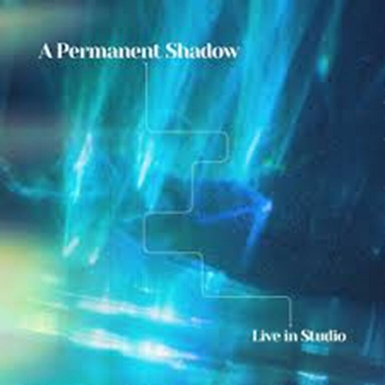 Interview with A Permanent Shadow’s CP Fletcher