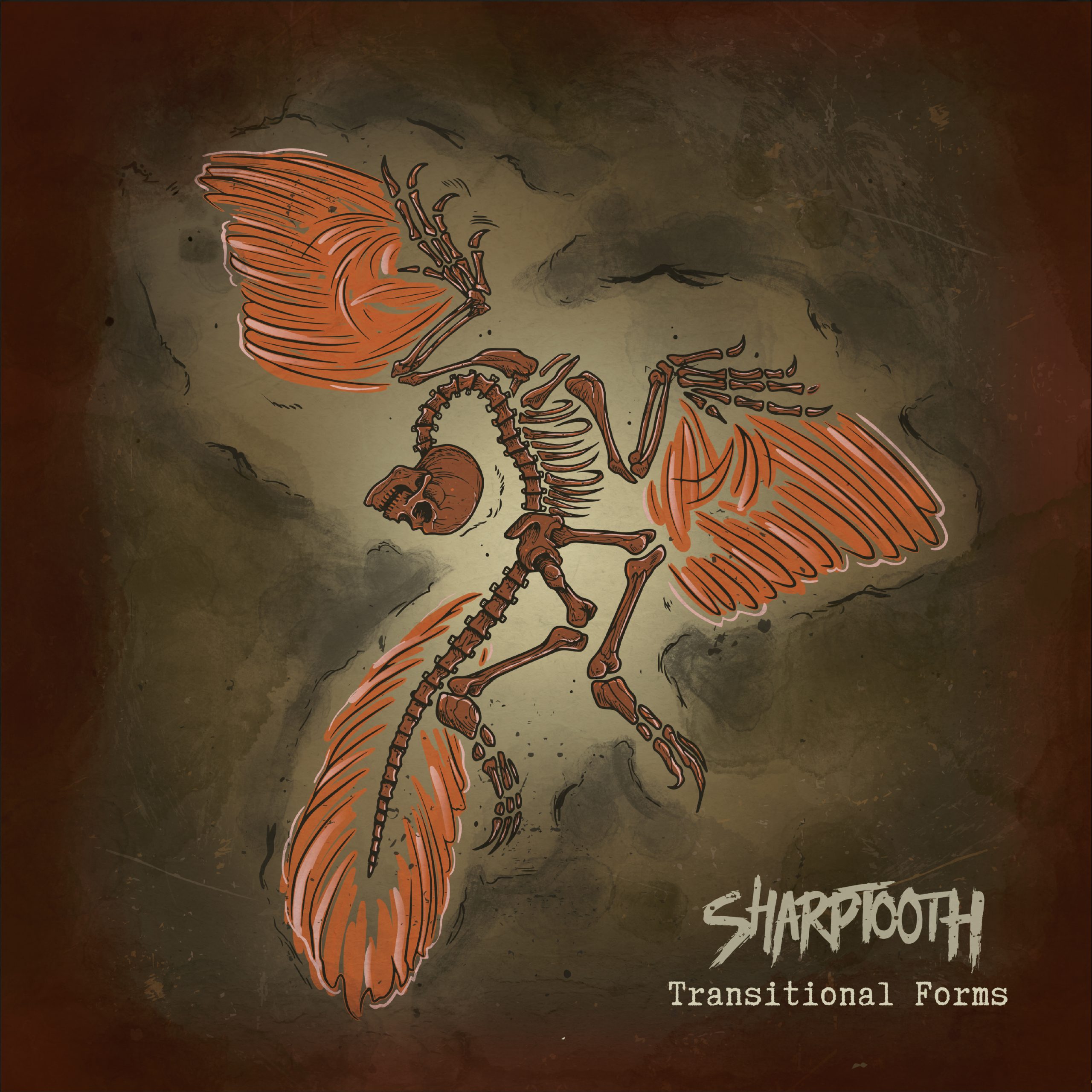 Sharptooth Rocks Sharptooth – Transitional Forms | The Midlands Rocks