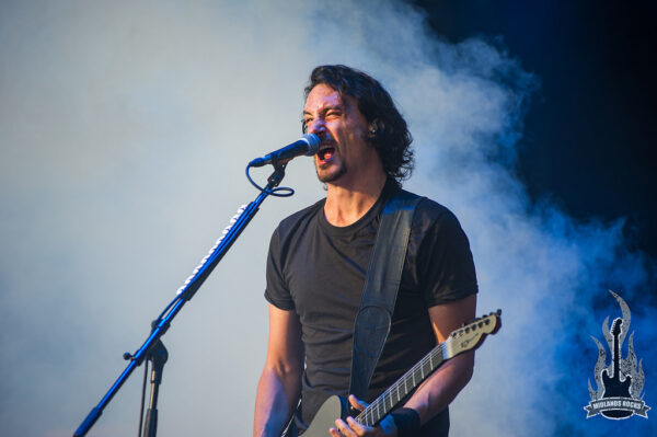 Gojira by Sean Larkin