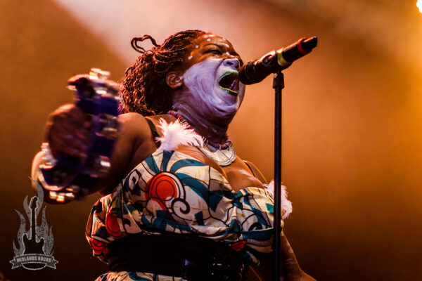 Vodun by Rob Stanley
