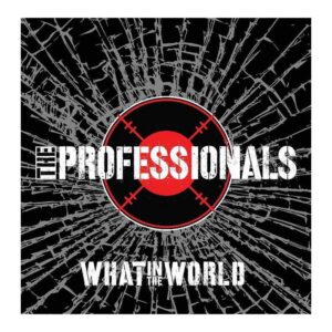 what-in-the-world---the-professionals